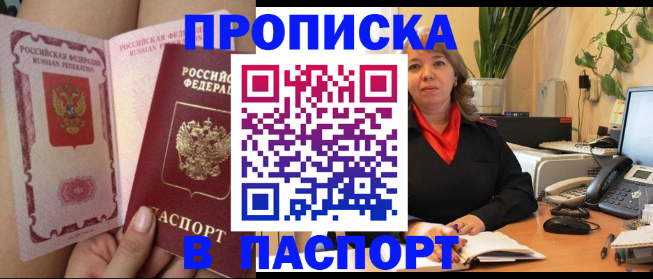 прописка поиск в Новгородской области